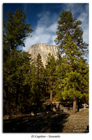El Capitan - Yosemite