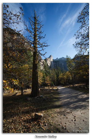 Yosemite Valley
